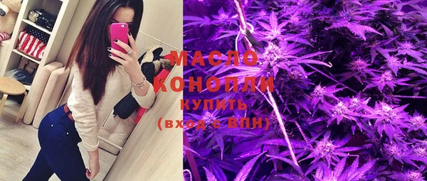 дмт Новозыбков