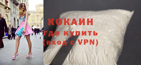 индика Нягань