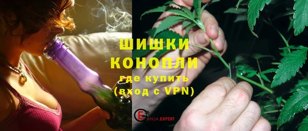 дмт Новозыбков