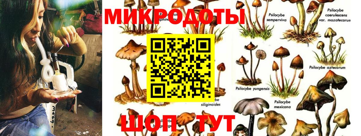 Сунжа  Галлюциногенные грибы Magic Shrooms  Псилоцибиновые грибы мицелий  Вход с VPN 