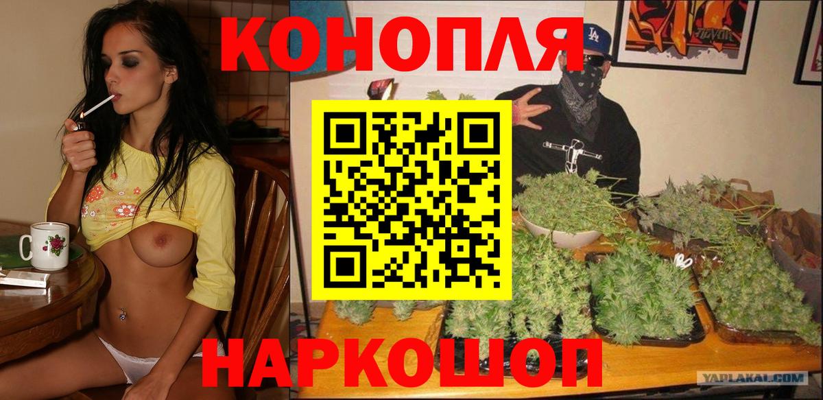 Шишки марихуана планчик Сунжа